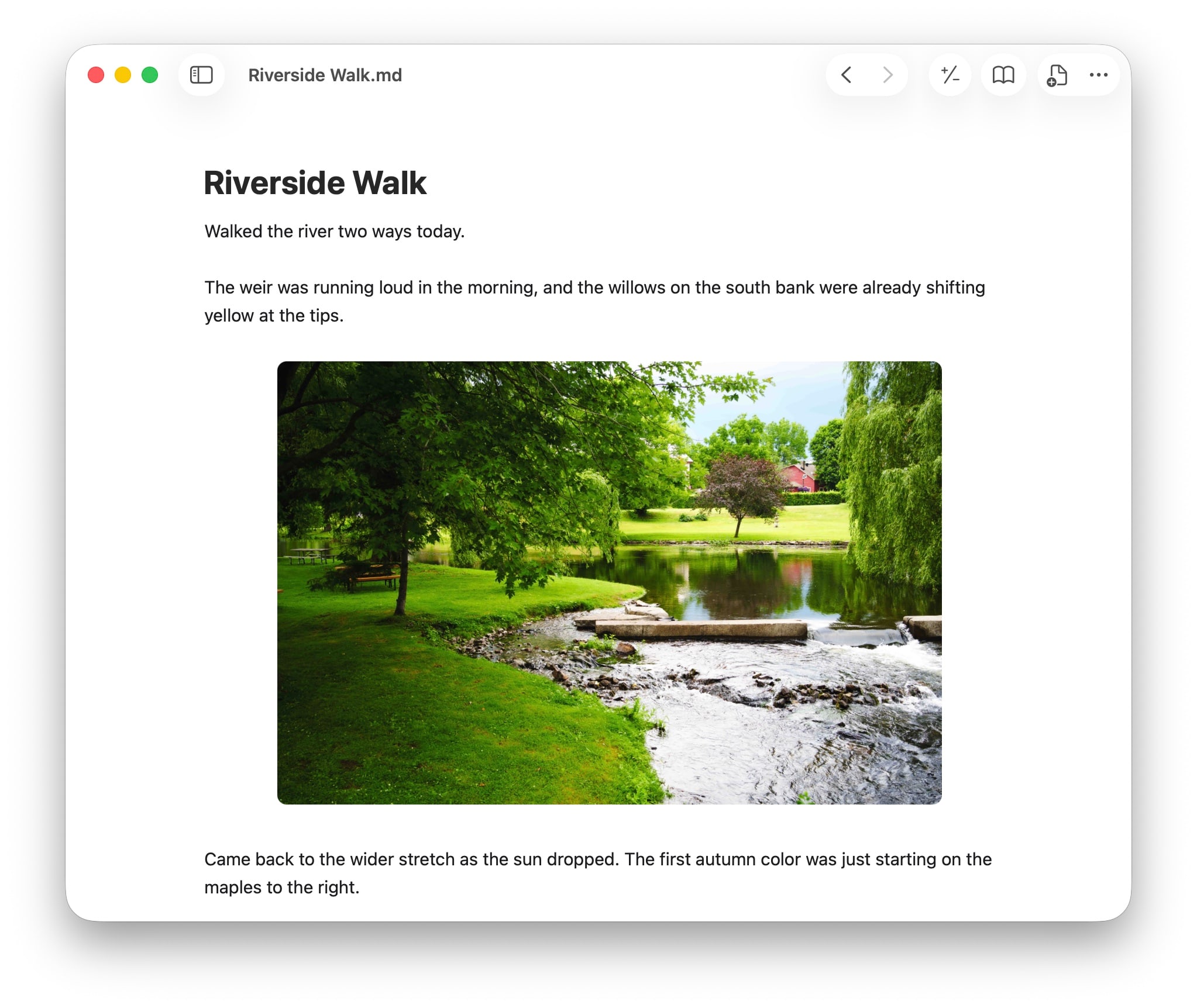 Image Embeds
